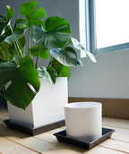 Square Plant Saucer 5 Pack 8 10 12 14 16 18 20 Inch, Plant Trays for Pots Heavy Duty Plastic Plant Saucers for Indoors Outdoors, Flower Pot No Holes Plant Drip Trays