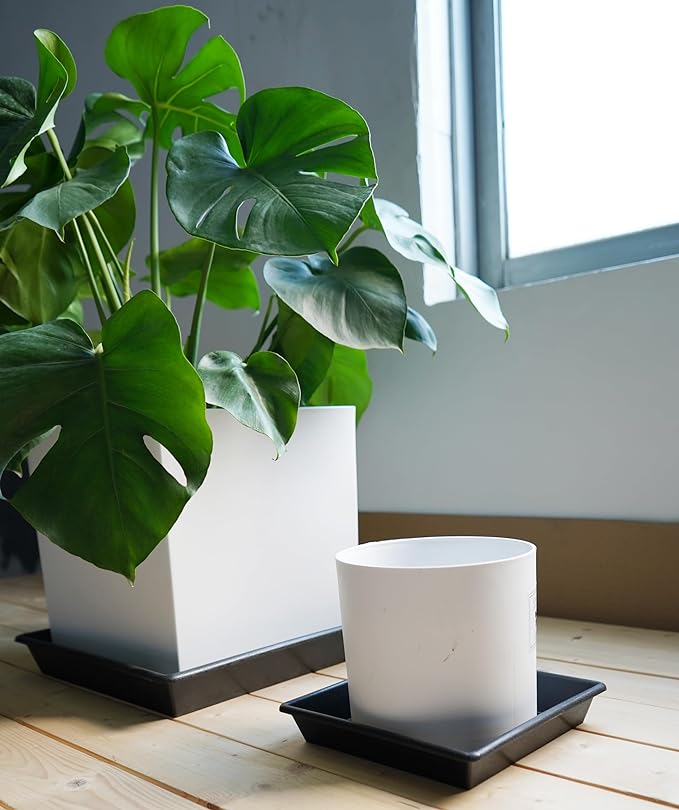 Square Plant Saucer 12 Inch 5 Pack 8 10 12 14 16 18 20 Inch, Plant Trays for Pots Heavy Duty Plastic Plant Saucers for Indoors Outdoors, Flower Pot No Holes Plant Drip Trays