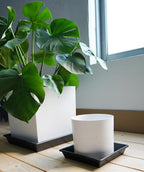 Square Plant Saucer 12 Inch 5 Pack 8 10 12 14 16 18 20 Inch, Plant Trays for Pots Heavy Duty Plastic Plant Saucers for Indoors Outdoors, Flower Pot No Holes Plant Drip Trays