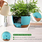 Set of 2 Hanging Planters for Indoor Outdoor Plants, 8 Inch Self-Watering Hanging Flower Pots with Drainage Hole & Removable Water-Storage Tray (Hooks)