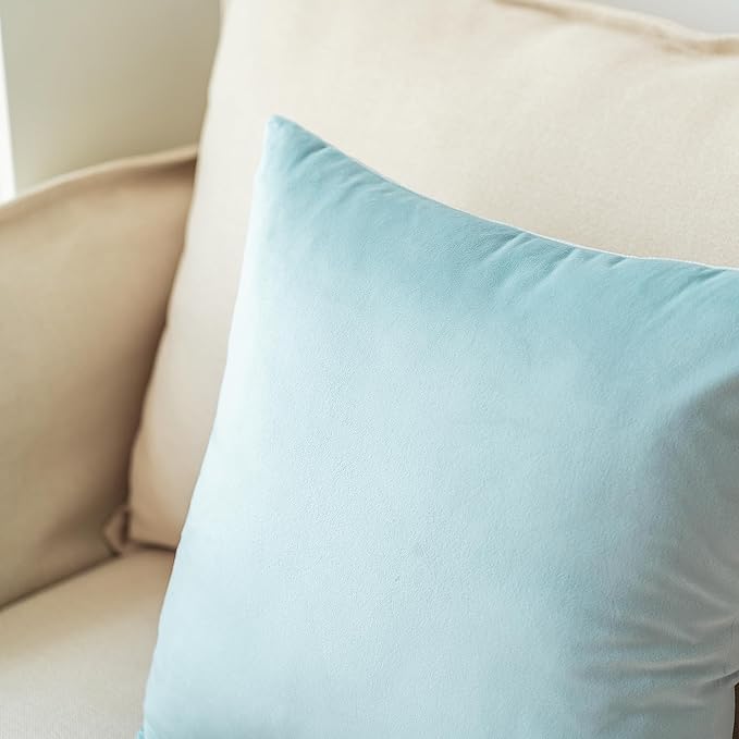 NiNi ALL Decorative Throw Pillow Covers Pack of 2, Velvet Throw Pillow Cases for Couch Pillows Cover Bedroom Living Room Outdoor Pillow Covers 20x20 Inch Baby Blue