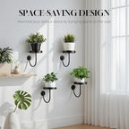 4 Pack Wall Plant Holder,Wall Planters for Indoor Plants,Plant Hanger Indoor,Metal Plant Wall Hanger,Hanging Plant Holder（Black）