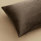 MIULEE Velvet Throw Pillow Covers 24x24 Inch, Pack of 2 - Coffee, Super Soft Euro Decorative Square Pillows Modern Luxury Home Decor for Bed, Sofa, Couch, Living Room
