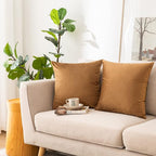NiNi ALL Decorative Brown Throw Pillow Covers Pack of 2 Velvet 12x12 Inch Throw Pillow Cases for Couch Pillows Cover Bedroom Living Room Outdoor Pillows Cover