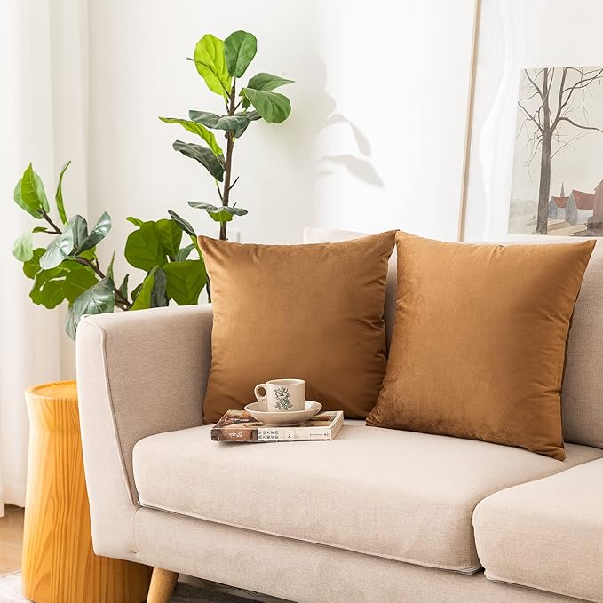 NiNi ALL Decorative Brown Throw Pillow Covers Pack of 2 Velvet 12x12 Inch Throw Pillow Cases for Couch Pillows Cover Bedroom Living Room Outdoor Pillows Cover