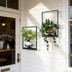 Wall Planters for Indoor Plants, Window Plant Shelves Set of 3, Wall Plant Stand to Hold Large Pots - Premium Metal Hanging Plant Holder for Indoor Outdoor Decor