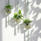 6 Pcs Plastic Plant Propagation with Boho Macrame Hanger Wall Plant Propagation Station Hanging Holder Include Hooks Kit for Indoor Home Garden Office Decor 3 Size (Sage Green)