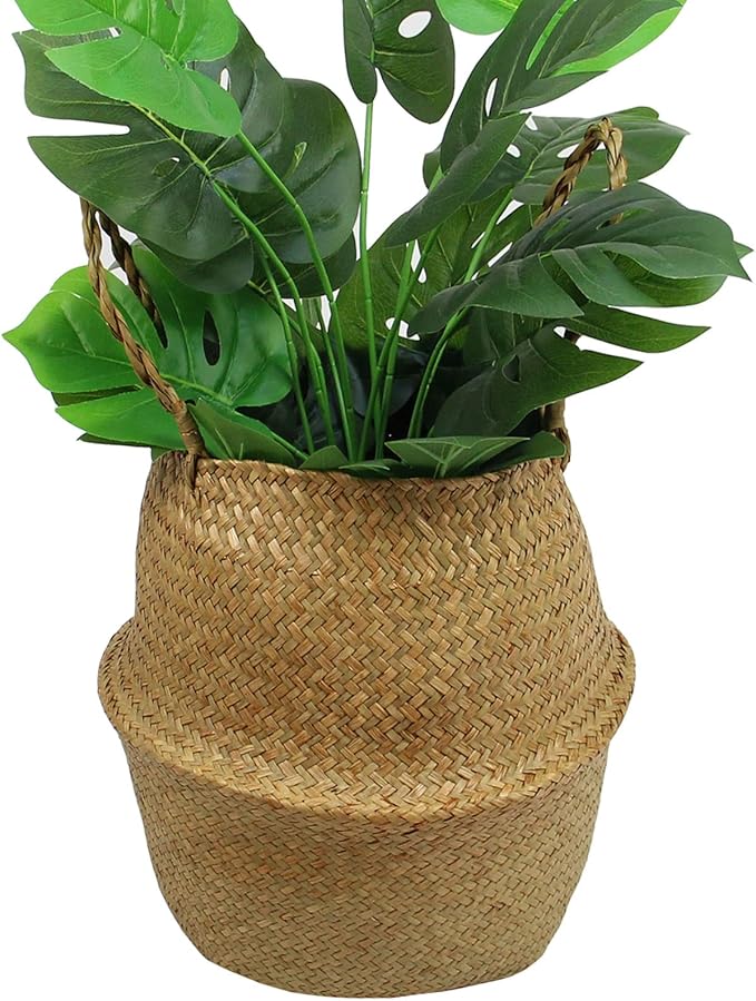 Casaphoria Woven Seagrass Belly Basket for Storage Plant Pot Indoorb,Decorative Sturdy and Durable Natural Material Sea Grass Baskets with Handles,Seaweed Round Basket for Organizing(Small)