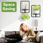 iDavosic.ly Wall Plant Picture Frame Holder Set of 2 for Indoor, Metal Stand with Hanging Hooks, Floating Flower Display Decor, Space Saving & Easy to Assemble (Pots/Chains/Plants Not Included)