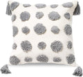 PLWORLD Boho Gray Throw Pillow Cover 20x20 Inch with Tassels, Pom Pom Tufted Decorative Cream Chenille Fabric Accent Textured Cushion Case for Bed Couch, 1 PC Cover Only No Insert