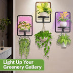 iDavosic.ly Wall Plant Picture Frame Holder Set of 3 with 3 Grow Light for Indoor, Metal Stand with Hanging Hooks, Space Saving Floating Flower Display Decor (Pots/Chains/Plants Not Included)