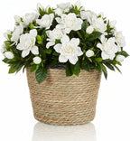 12 Pcs Seagrass Plant Basket with Plastic Liners Woven Stylish Planter Baskets Bulk Indoor Outdoor Plants Woven Wicker Baskets for Flower Pots Cover and Room Decor Small (Small,Rustic)