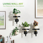 DELLAN Wall Plant Holder, 3 Pack Metal Wall Planters Stand Hanging Shelves for Indoor Plants, Window Sill Plant Decor for Bedroom, Bathroom, Living Room, Home, Office, BlackGold