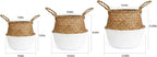 Woven Seagrass Belly Basket for Storage, Laundry, Picnic, Plant Pot Cover, and Grocery and Toy Storage (Large, White)