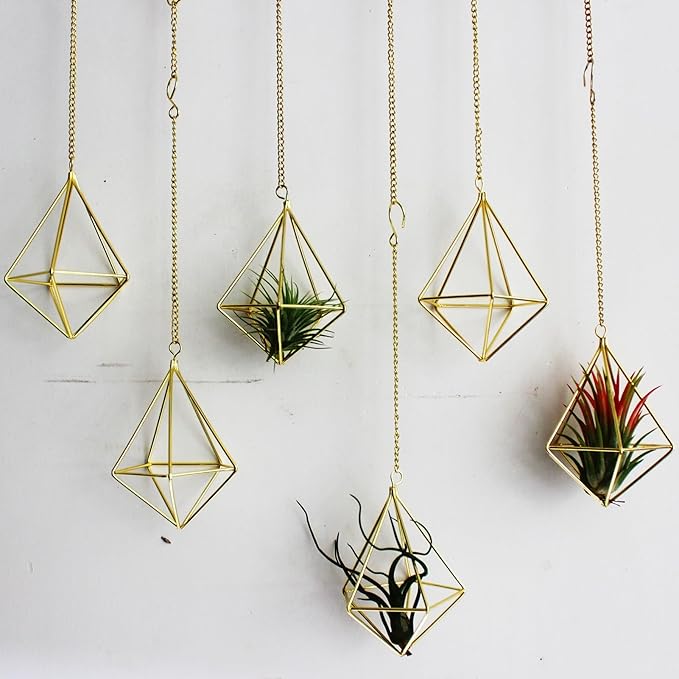 Air Plants Live Holders 6 Pcs Glod Diamond Hanging Planter Small Air Plant Holders Unique with Chains Air Ferns Tillandsia Display for Indoor