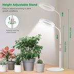 Grow Lights for Indoor Plants, 80 LED Full Spectrum Desk Plant Light for Growing Small Plant, Height Adjustable 24.5" Halo Grow Lamp with Base, 6/12/16H Timer, 3 Light Modes, 5 Dimming