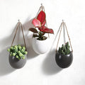 Set of 3 Ceramic Hanging Planters for Small Plants & Artificial Greenery, Wall Decor for Bathroom Living Room Bedroom Home Office Corridors