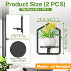 iDavosic.ly Wall Plant Picture Frame Holder Set of 2 for Indoor, Metal Stand with Hanging Hooks, Floating Flower Display Home Decor, Space Saving & Easy to Assemble (Pots/Chains/Plants Not Included)