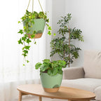 ZMTECH 6.5 Inch Hanging Planters for Indoor Outdoor Plants, 2 Pack Self Watering Hanging Plant Pots with Drainage Holes and Removable Saucer, Plastic Flower Hanging Pots with Watering Lip (Green)