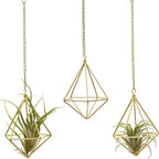 Geometric Hanging Tillandsia Holder Gold Metal Air Plant Holders for House Decor, Small Indoor Plants, Plant Lover Gifts (5Pcs)