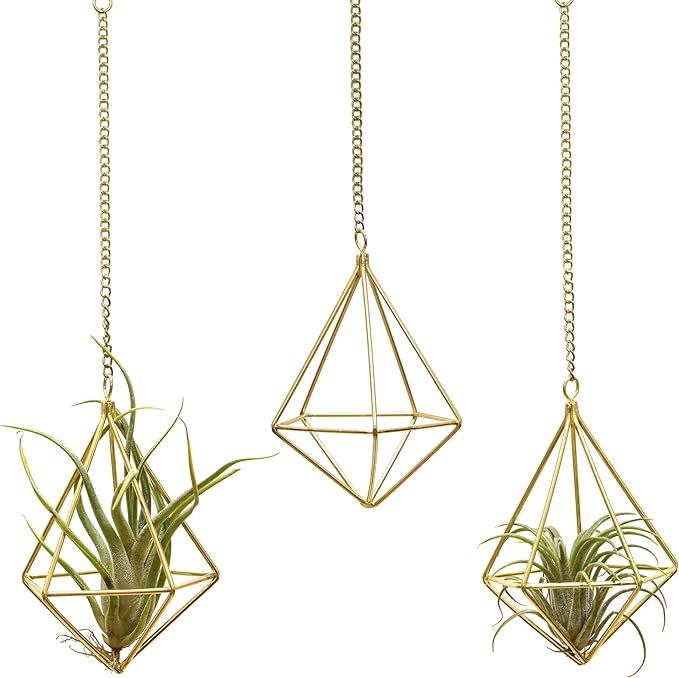Geometric Hanging Tillandsia Holder Gold Metal Air Plant Holders for House Decor, Small Indoor Plants, Plant Lover Gifts (5Pcs)