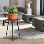 Plant Stand Indoor,Mid Century Wood Plant Stand Plant Table for Flower Pots,Heavy Duty Metal Tall Plant Holder, Modern Home Decor Small Round Side End Table 2 Pack (11.8"x16")
