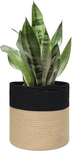 Wicker Plant Basket Indoor, 11" x 11" Jute Spliced Cotton Rope Basket Planter for 10" Pot, Woven Flower Tree Pots Cover, Small Floor Indoor Planters, Modern Bins for Plants and Home Decor