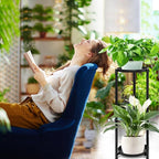 2 Tier Plant Stand Indoor Tall, Black Corner Tiered Round Plant Stand for Indoor Multiple Plants, Metal Flower Pot Stands Outdoor Holders Plant Shelf Display Rack for Balcony Living Room