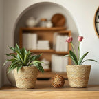 12 Pcs Seagrass Plant Basket with Plastic Liners Woven Stylish Planter Baskets Bulk Indoor Outdoor Plants Woven Wicker Baskets for Flower Pots Cover and Room Decor Small (Small,Rustic)