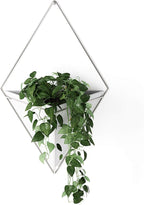Umbra Trigg Hanging Planter Vase Wall Decor, Pot and Container for Succulents, Cactus, Faux Plants, and More, Large, White/Nickel