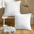 MIULEE Set of 2 Throw Pillow Inserts 20x20 Inches, Nowoven Decorative Pillow Inserts for Living Room