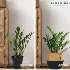 Blueming Large Seagrass Planter Basket – Wicker Planter Pot for Olive Trees, Faux Plants, or Snake Plant, Woven Rattan Planters for Modern Home Decor (Black Bottom, Large)