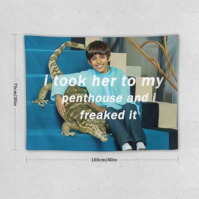 BionZax I Took Her To My Penthouse and I Freaked It Ravi Tapestry for Bedroom Aesthetic, Funny and Meme Tapestries for College Dorm and Living Room - Small Size 30"x40"