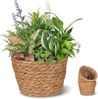 Alipis Wicker Planter: 5.1" Seagrass Plant Basket Indoor - Hand-Woven Planter Basket with Liner for Houseplants, Succulents & Boho Farmhouse Decor 2-Pack