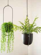 Boho Black Metal Plant Hanger,Metal Wall and Ceiling Hanging Planter, Modern Planter, Mid Century Flower Pot Plant Holder, Minimalist Planter for Indoor Outdoor Home Decor