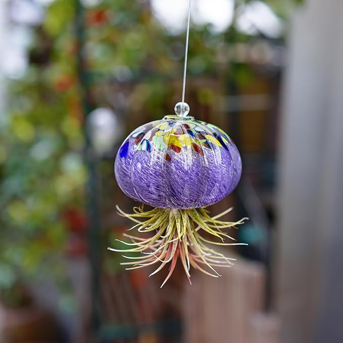 H&D HYALINE & DORA Hanging Hand Blown Art Glass Jellyfish Air Planter Terrarium Decor for Garden Porch Windowsill (No Plants)