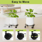 2 Pack Rolling Plant Stands with Wheels - 10.24" Plant Caddy, 360 °Rotatable and Lockable Plant Rollers, 80LB Weight Capacity, Plant Tray with Casters for Indoor Outdoor Wine Cellar.