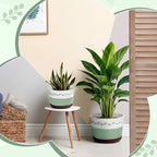 Remerry 3 Pcs 7" 9" 13" Cotton Rope Plant Baskets Indoor with Plastic Liner 3 Colorful Straw Woven Plant Basket Indoor Green Round Wicker Basket for Living Room Floor Potted Pots Decor