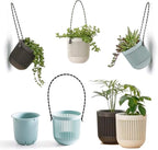 Melphoe 3.5‘’ Two-Piece Succulent Planters Pots with Drainage, Flexible Removable Handle, Flower Pots for Mini Plants Small Hanging Planter for Wall, Window (6 PCAK)