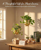 AceList Gold Hanging Planters for Indoor Plants, Set of 2-4.5 inch Metal Plant Hangers from Ceiling or Wall, Modern Boho Window Flower Pots, Pothos, Ivy - No Drainage Hole