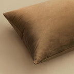 MIULEE Velvet Throw Pillow Covers 20x20 Inch, Pack of 2 - Chocolate, Super Soft Decorative Square Cushion Cases Modern Luxury Home Decor for Sofa,Couch,Bed,Chair