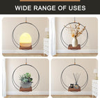 Hanging Plant Holder Indoor, Modern Boho Hanging Planter with Sturdy Wood Base, Unique Ceiling Plant Hangers for Indoor Plants, Ceiling Window Wall Home Decor (Black, Fit 3-5.5inch Pot)