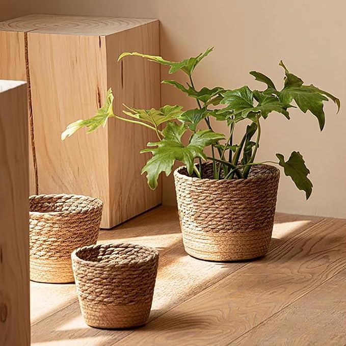 Jute Rope Plant Basket Indoor Modern Woven Flower Pot Basket Seagrass Storage Organizer Planter Rustic Decorative Plant Containers Cover Laundry Bin for Porch Living Room Entryway (7.87×7.87×6.29Inch)