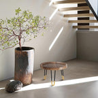 Plant Stand Indoor Outdoor, Mid Century Style Walnut Wood Color Plant Stand,Waterproof Design Modern Plant Table,Easily Assemble Come With Tools,Nice For Room Decor (M)