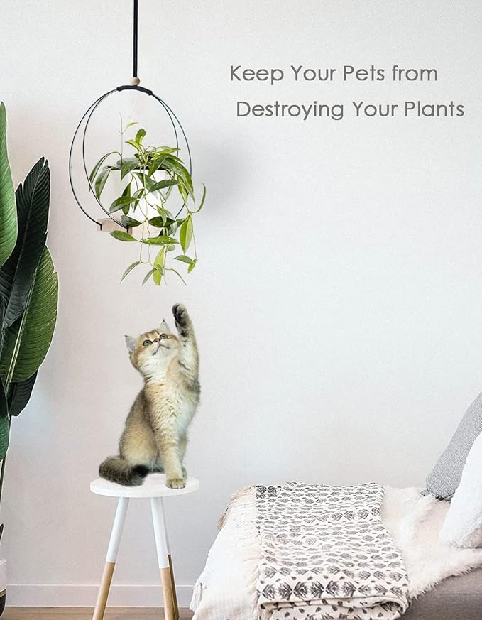 Plant Hanger with Wood Base - Boho Macrame Hanging Plant Holder for Indoor Plants Hanging Planter for Wall /Window/Room Decor Black (Pot & Plant Not Included)