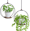 Hanging Planters for Indoor Plants: Macrame Plant Hanger with Sturdy Wood Base, Wall Ceiling Window Decor for Home Garden Patio Office, Housewarming Gift (Pot/Plant Not Included)