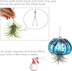 H&D HYALINE & DORA Blown Glass Jellyfish Hanging Air Planter, Cute Blue Jellyfish Air Plant Holder Gifts for Women Room Garden Wedding Party Decor (No Plants)