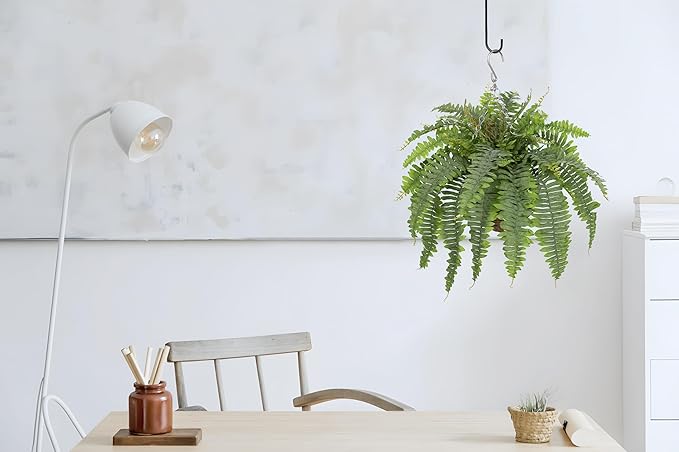 Hollyone 25" Artificial Boston Fern Hanging Basket 31 Leaves Fake Ferns in Rattan Pot Medium Greenery Plants for Outdoors & Indoor Faux Fern Bush Basket Plant Patio Garden Home Decor Dusty Green