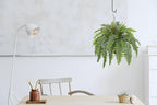 Hollyone 25" Artificial Boston Fern Hanging Basket 31 Leaves Fake Ferns in Rattan Pot Medium Greenery Plants for Outdoors & Indoor Faux Fern Bush Basket Plant Patio Garden Home Decor Dusty Green