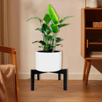 Heavy Duty Adjustable Metal Plant Stand for 10"-16" Plant Pot – Indoor & Outdoor (Black, 1 Pack)